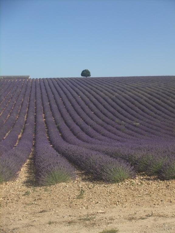 Le Mas Des Aludes La Destrousse Exteriör bild